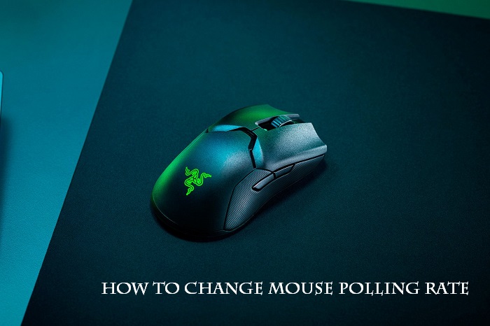 How To Change Mouse Polling Rate DightonRock